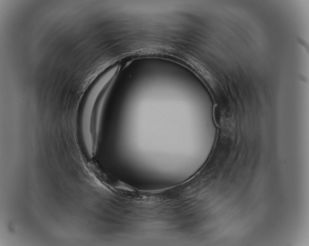 X0000091210485200708301431