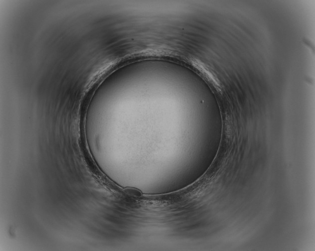 X0000091210486200708301431