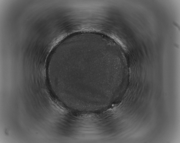 X0000091210488200708301431