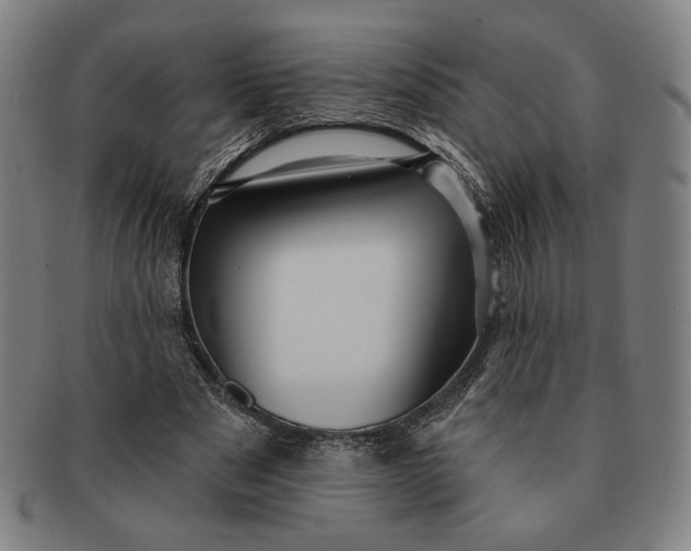 X0000091210489200708301431