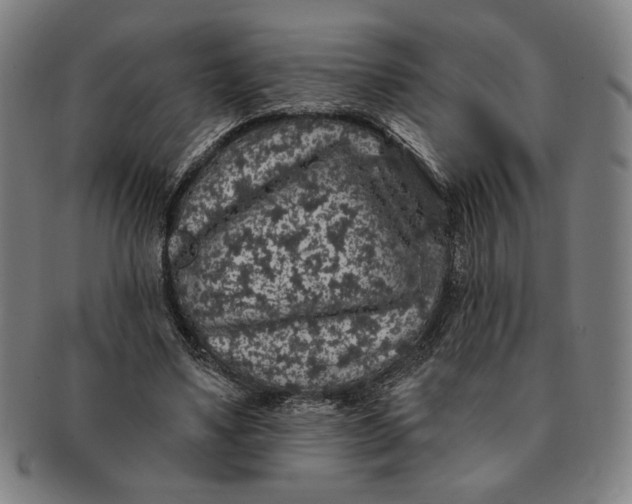 X0000091210491200708301431