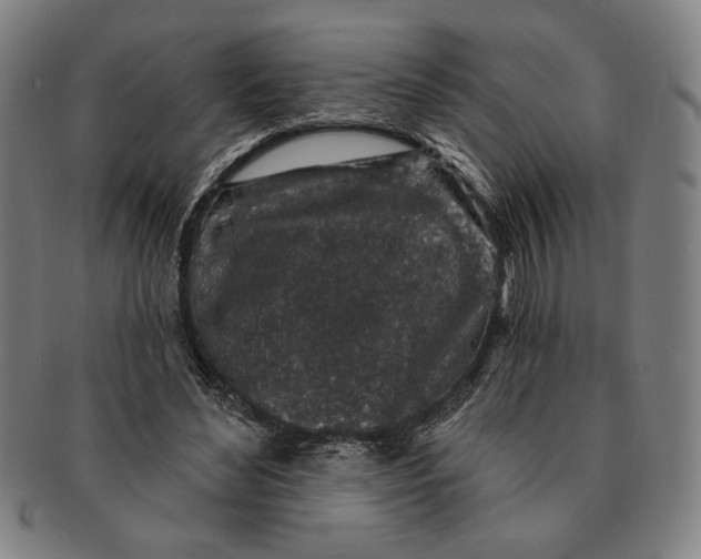 X0000091210492200708301431