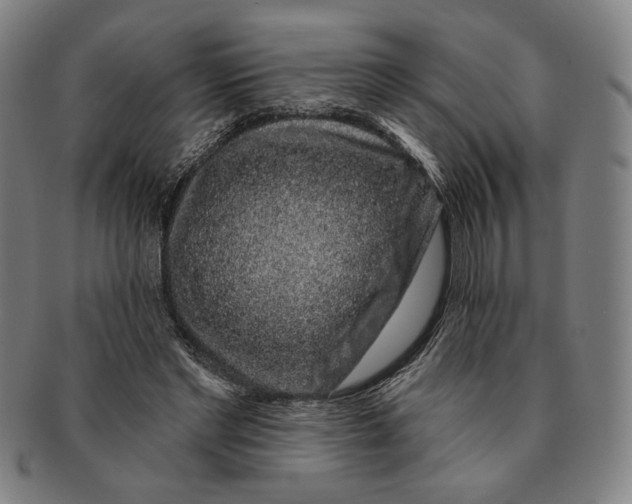 X0000091210493200708301431