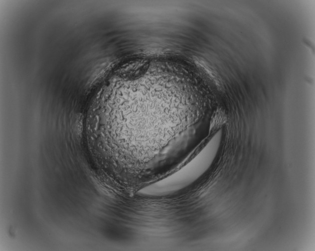 X0000091210495200708301431