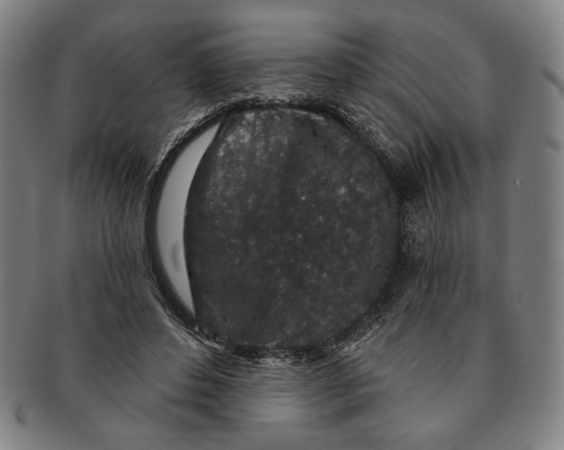 X0000091210496200708301431