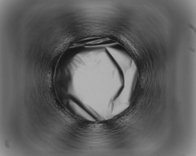 X0000091210497200708301431