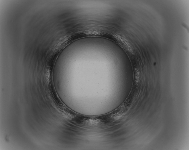 X0000091210498200708301431