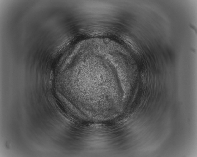 X0000091210499200708301431