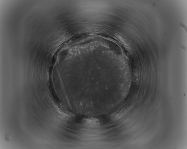 X0000091210500200708301431