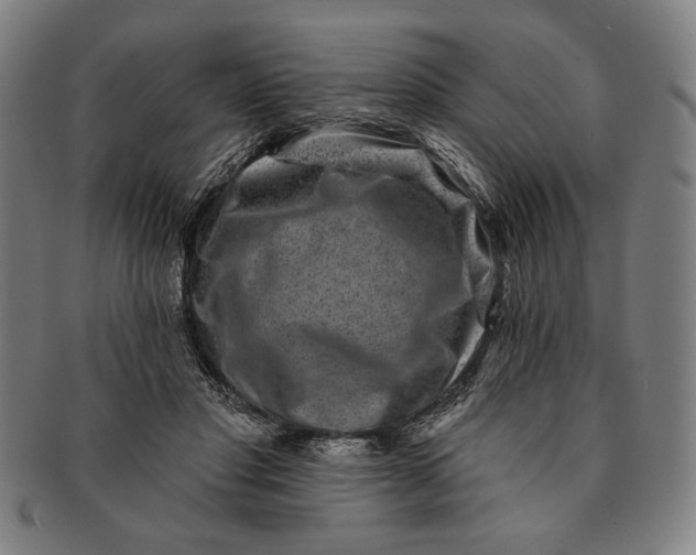 X0000091210501200708301431