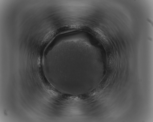 X0000091210502200708301431