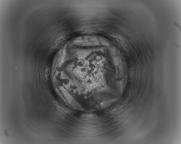 X0000091210503200708301431