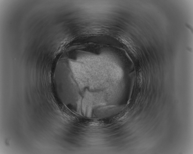 X0000091210504200708301431