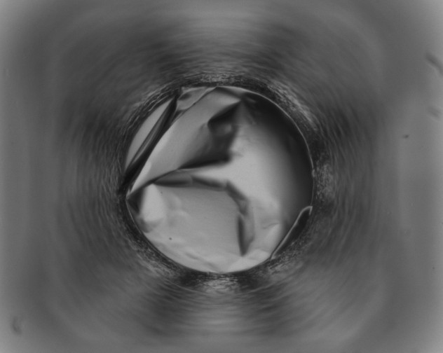 X0000091210505200708301431