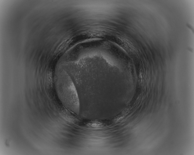 X0000091210506200708301431