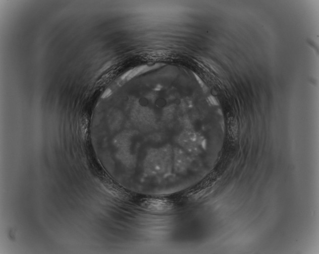 X0000091210507200708301431