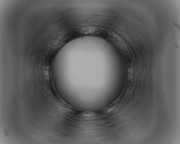 X0000091210510200708301431