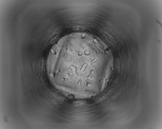 X0000091210511200708301431