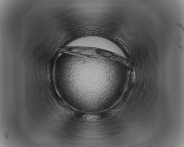 X0000091210512200708301431