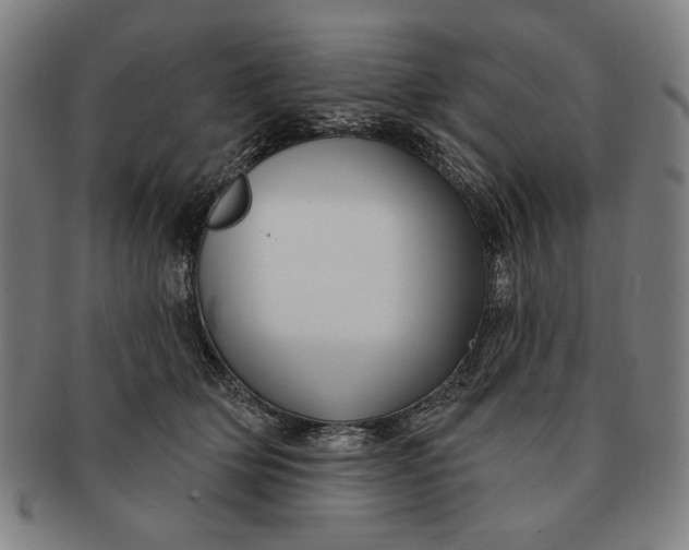 X0000091210514200708301431