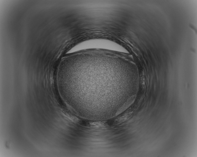 X0000091210516200708301431