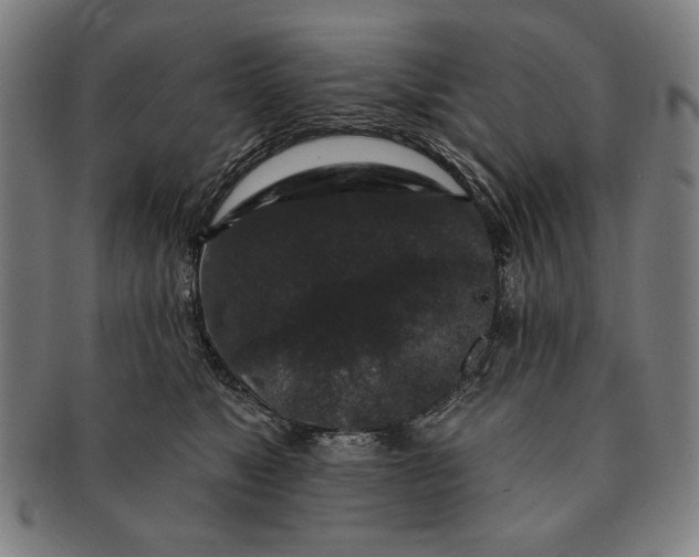 X0000091210517200708301431