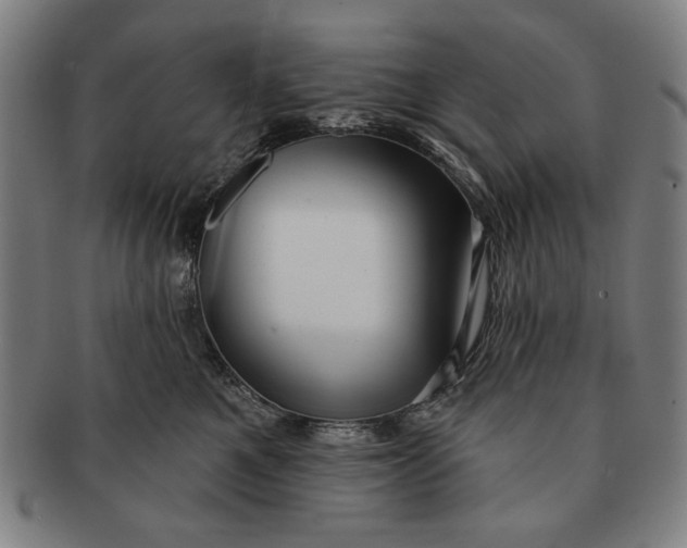 X0000091210521200708301431