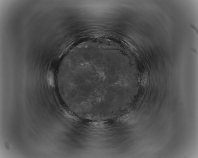 X0000091210524200708301431