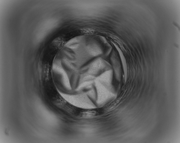 X0000091210525200708301431