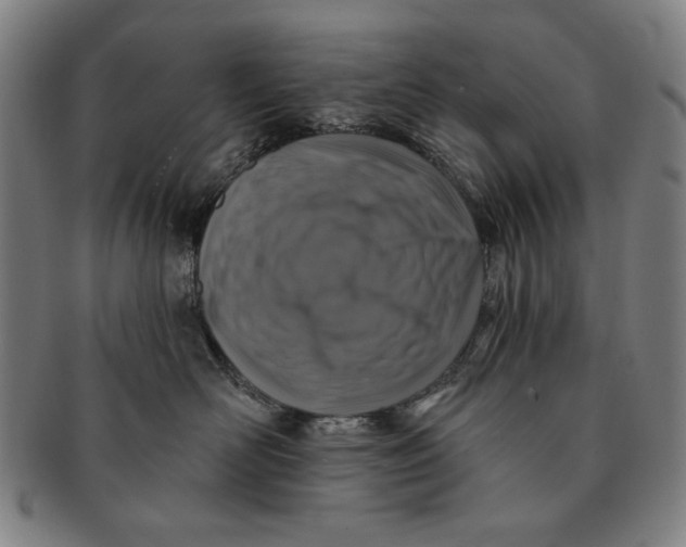 X0000091210526200708301431