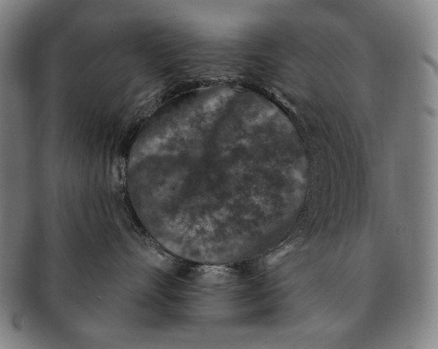 X0000091210528200708301431