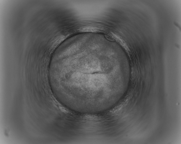 X0000091210529200708301430