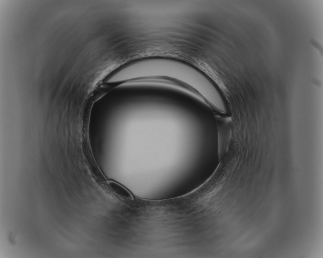 X0000091210530200708301430