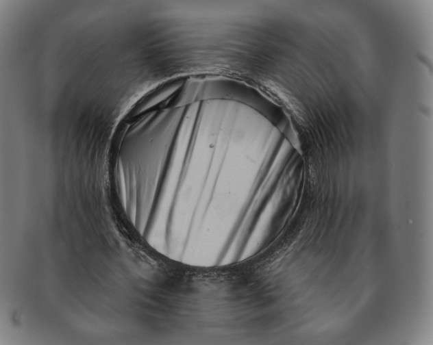 X0000091210532200708301430