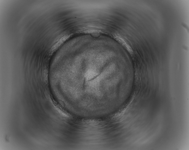 X0000091210533200708301430