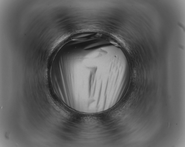 X0000091210535200708301430