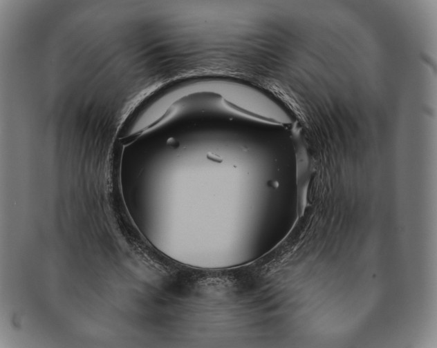 X0000091210536200708301430