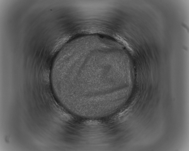 X0000091210537200708301430