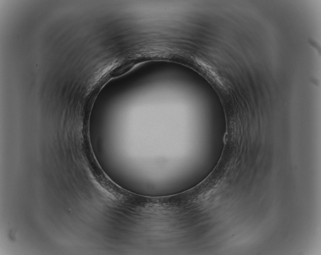 X0000091210538200708301430