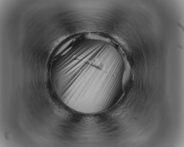 X0000091210540200708301430