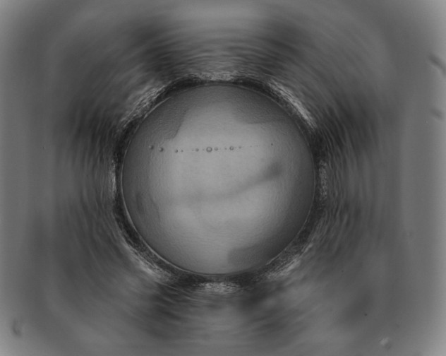 X0000091210541200708301430