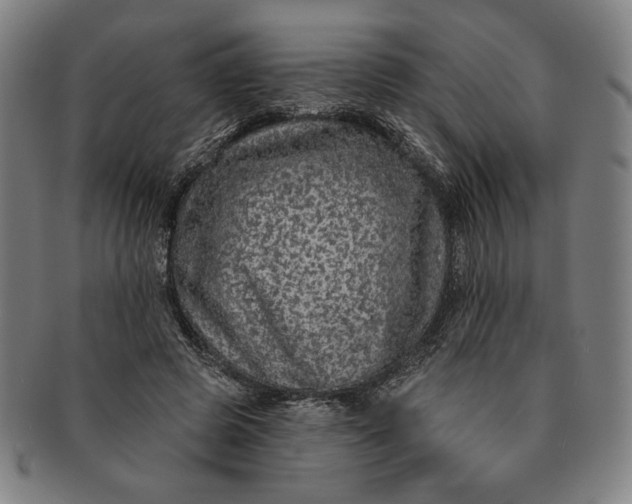 X0000091210545200708301430