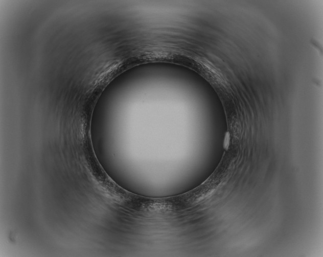 X0000091210546200708301430