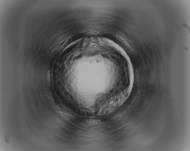 X0000091210549200708301430