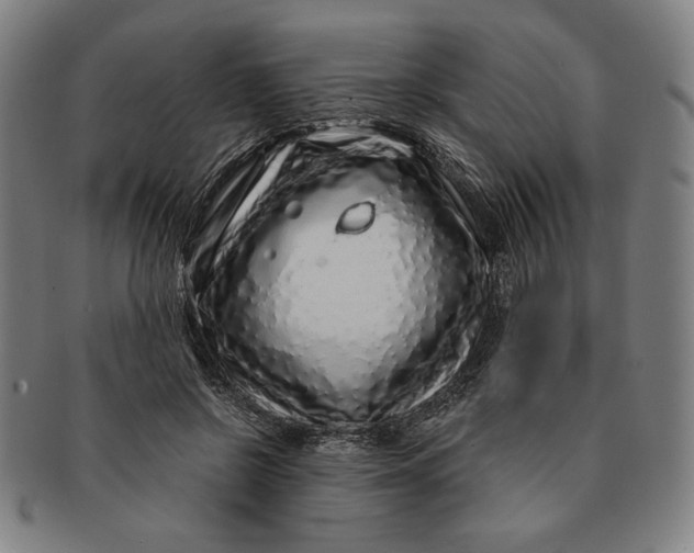 X0000091210550200708301430