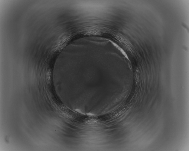 X0000091210551200708301430