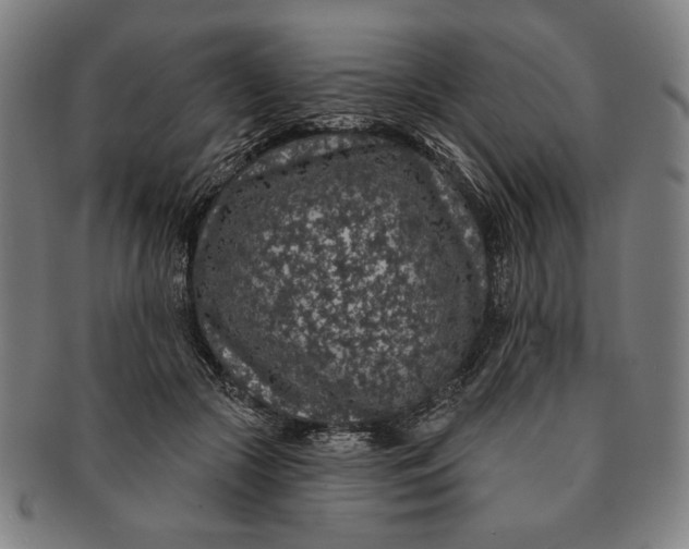 X0000091210553200708301430