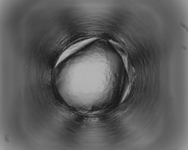 X0000091210554200708301430