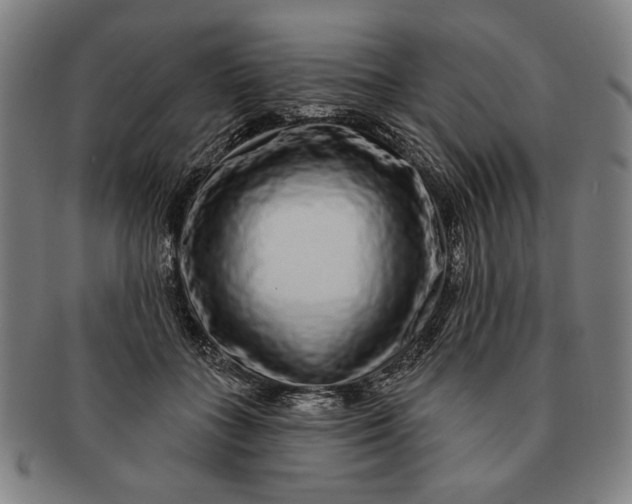 X0000091210555200708301430