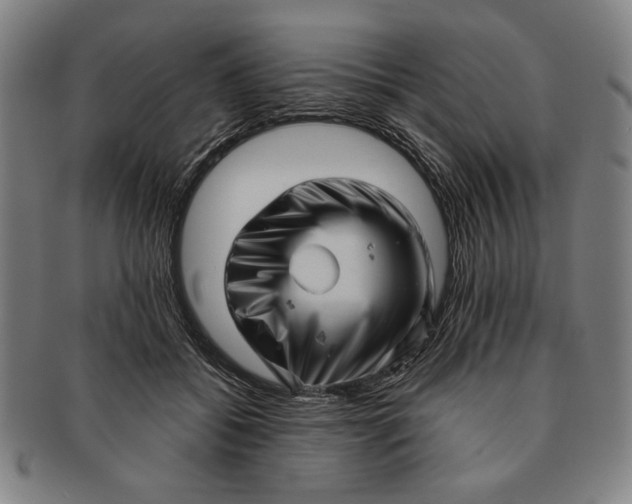 X0000091210556200708301430